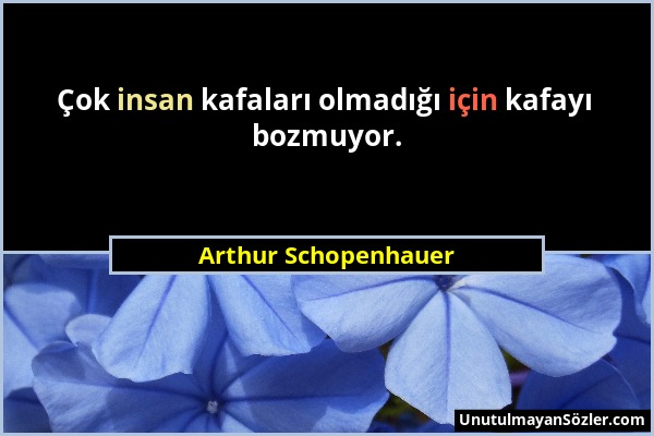 Arthur Schopenhauer - Çok insan kafaları olmadığı için kafayı bozmuyor....