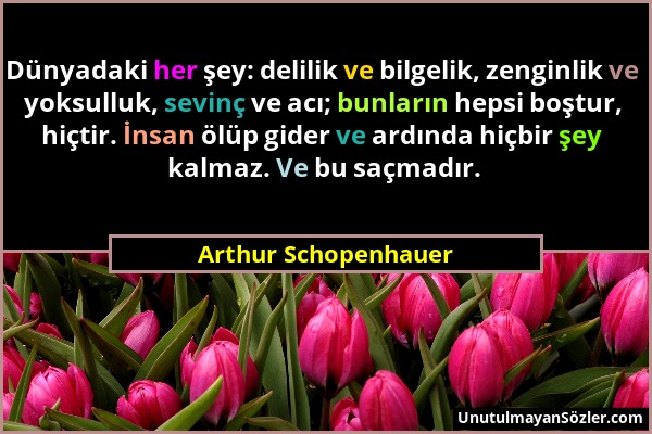Arthur Schopenhauer - Dünyadaki her şey: delilik ve bilgelik, zenginlik ve yoksulluk, sevinç ve acı; bunların hepsi boştur, hiçtir. İnsan ölüp gider v...