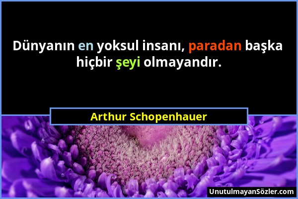 Arthur Schopenhauer - Dünyanın en yoksul insanı, paradan başka hiçbir şeyi olmayandır....