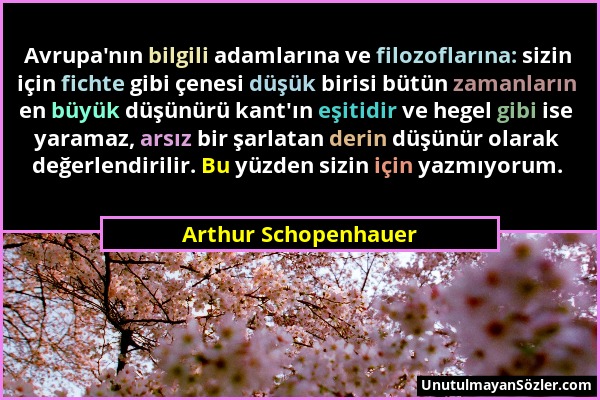 Arthur Schopenhauer - Avrupa'nın bilgili adamlarına ve filozoflarına: sizin için fichte gibi çenesi düşük birisi bütün zamanların en büyük düşünürü ka...