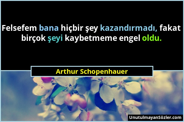 Arthur Schopenhauer - Felsefem bana hiçbir şey kazandırmadı, fakat birçok şeyi kaybetmeme engel oldu....