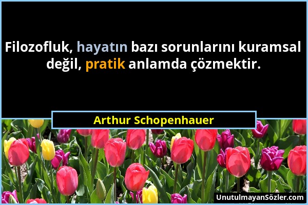 Arthur Schopenhauer - Filozofluk, hayatın bazı sorunlarını kuramsal değil, pratik anlamda çözmektir....