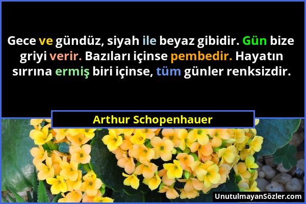 Arthur Schopenhauer - Gece ve gündüz, siyah ile beyaz gibidir. Gün bize griyi verir. Bazıları içinse pembedir. Hayatın sırrına ermiş biri içinse, tüm...