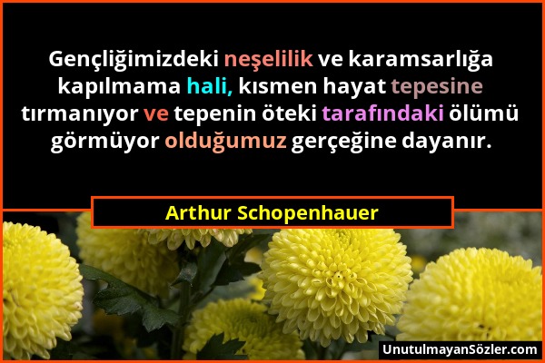 Arthur Schopenhauer - Gençliğimizdeki neşelilik ve karamsarlığa kapılmama hali, kısmen hayat tepesine tırmanıyor ve tepenin öteki tarafındaki ölümü gö...