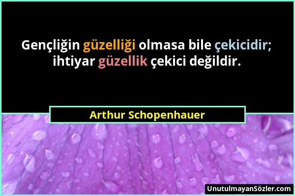 Arthur Schopenhauer - Gençliğin güzelliği olmasa bile çekicidir; ihtiyar güzellik çekici değildir....