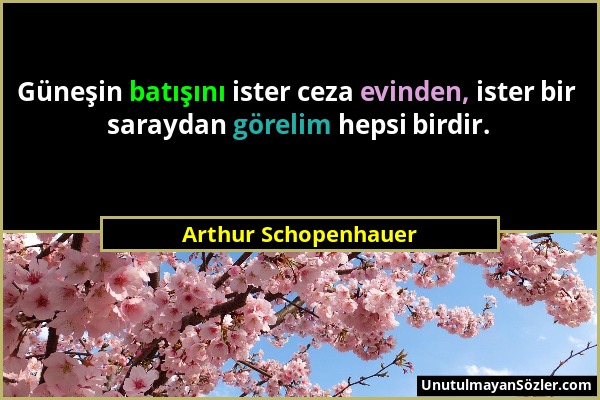 Arthur Schopenhauer - Güneşin batışını ister ceza evinden, ister bir saraydan görelim hepsi birdir....