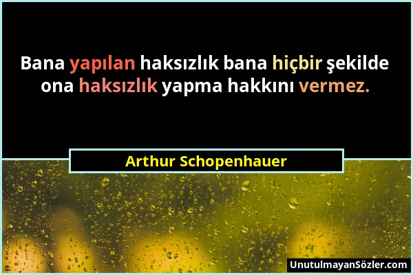 Arthur Schopenhauer - Bana yapılan haksızlık bana hiçbir şekilde ona haksızlık yapma hakkını vermez....
