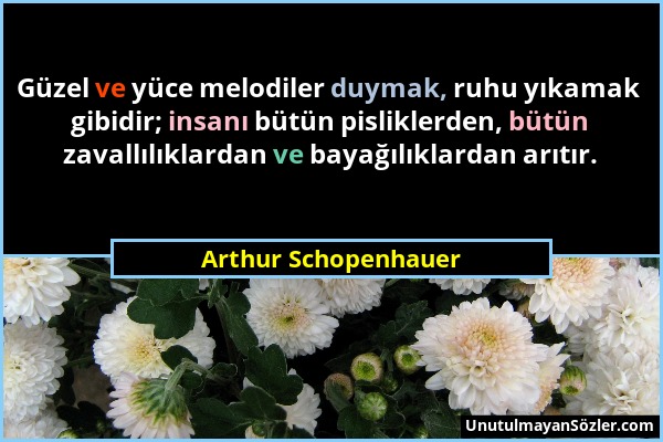 Arthur Schopenhauer - Güzel ve yüce melodiler duymak, ruhu yıkamak gibidir; insanı bütün pisliklerden, bütün zavallılıklardan ve bayağılıklardan arıtı...