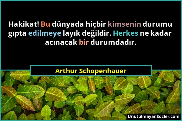 Arthur Schopenhauer - Hakikat! Bu dünyada hiçbir kimsenin durumu gıpta edilmeye layık değildir. Herkes ne kadar acınacak bir durumdadır....