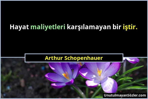 Arthur Schopenhauer - Hayat maliyetleri karşılamayan bir iştir....