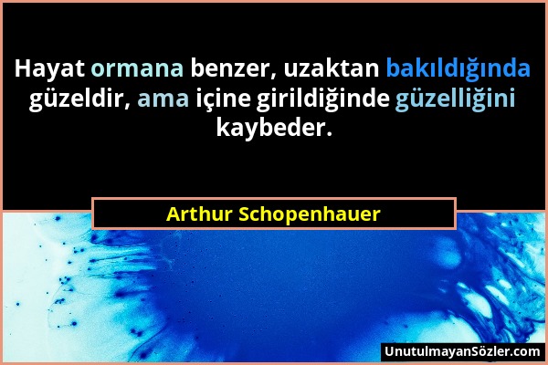 Arthur Schopenhauer - Hayat ormana benzer, uzaktan bakıldığında güzeldir, ama içine girildiğinde güzelliğini kaybeder....
