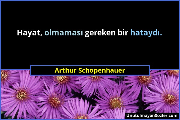 Arthur Schopenhauer - Hayat, olmaması gereken bir hataydı....
