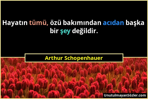 Arthur Schopenhauer - Hayatın tümü, özü bakımından acıdan başka bir şey değildir....