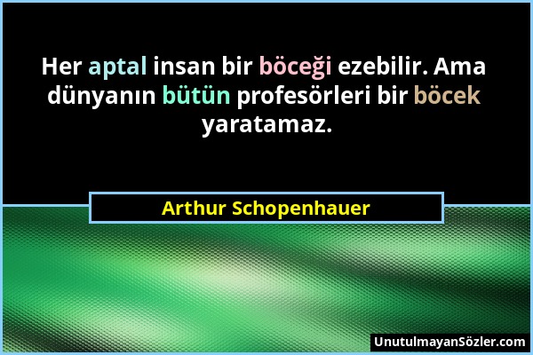 Arthur Schopenhauer - Her aptal insan bir böceği ezebilir. Ama dünyanın bütün profesörleri bir böcek yaratamaz....