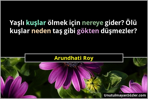 Arundhati Roy - Yaşlı kuşlar ölmek için nereye gider? Ölü kuşlar neden taş gibi gökten düşmezler?...