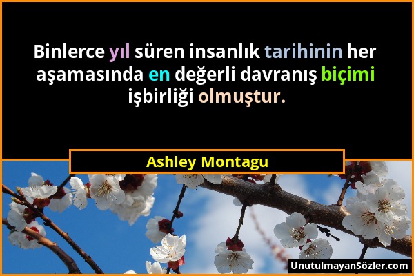 Ashley Montagu - Binlerce yıl süren insanlık tarihinin her aşamasında en değerli davranış biçimi işbirliği olmuştur....