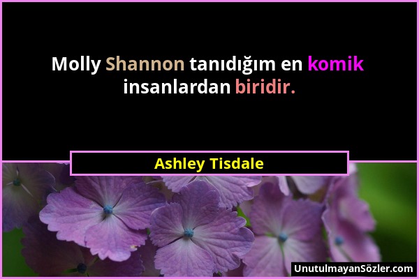 Ashley Tisdale - Molly Shannon tanıdığım en komik insanlardan biridir....