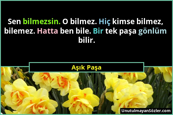 Aşık Paşa - Sen bilmezsin. O bilmez. Hiç kimse bilmez, bilemez. Hatta ben bile. Bir tek paşa gönlüm bilir....