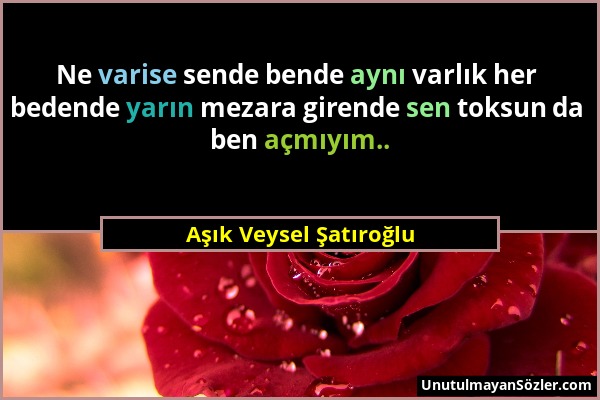 Aşık Veysel Şatıroğlu - Ne varise sende bende aynı varlık her bedende yarın mezara girende sen toksun da ben açmıyım.....