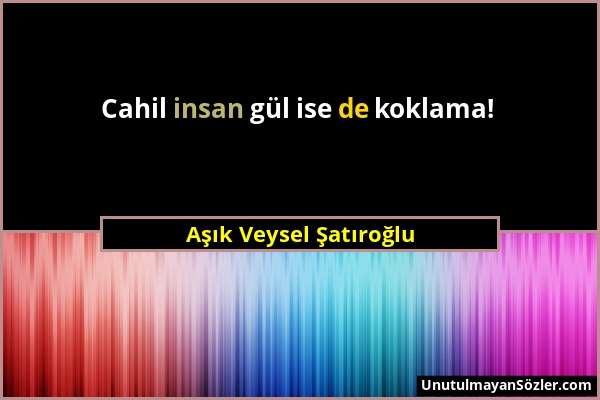 Aşık Veysel Şatıroğlu - Cahil insan gül ise de koklama!...