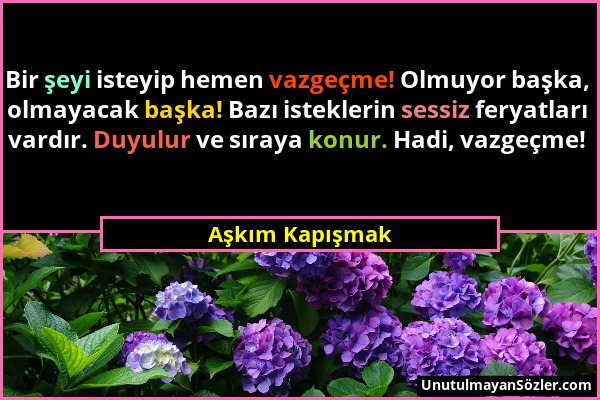 Aşkım Kapışmak - Bir şeyi isteyip hemen vazgeçme! Olmuyor başka, olmayacak başka! Bazı isteklerin sessiz feryatları vardır. Duyulur ve sıraya konur. H...