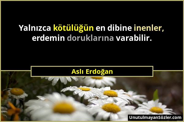 Aslı Erdoğan - Yalnızca kötülüğün en dibine inenler, erdemin doruklarına varabilir....
