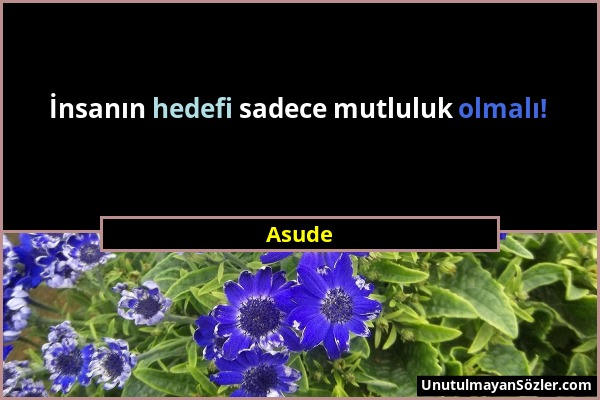 Asude - İnsanın hedefi sadece mutluluk olmalı!...