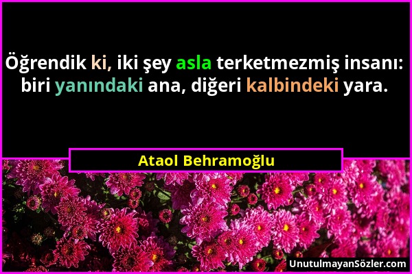 Ataol Behramoğlu - Öğrendik ki, iki şey asla terketmezmiş insanı: biri yanındaki ana, diğeri kalbindeki yara....