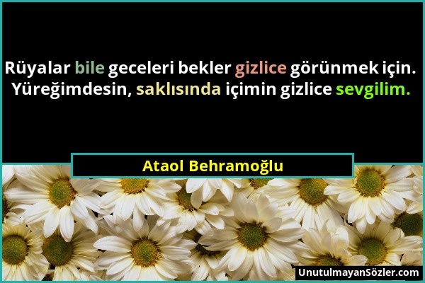 Ataol Behramoğlu - Rüyalar bile geceleri bekler gizlice görünmek için. Yüreğimdesin, saklısında içimin gizlice sevgilim....