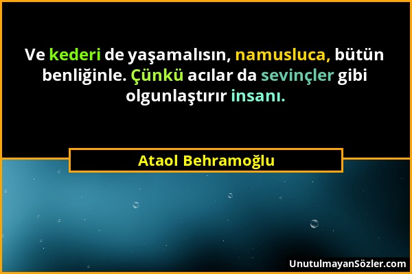 Ataol Behramoğlu - Ve kederi de yaşamalısın, namusluca, bütün benliğinle. Çünkü acılar da sevinçler gibi olgunlaştırır insanı....