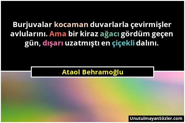 Ataol Behramoğlu - Burjuvalar kocaman duvarlarla çevirmişler avlularını. Ama bir kiraz ağacı gördüm geçen gün, dışarı uzatmıştı en çiçekli dalını....