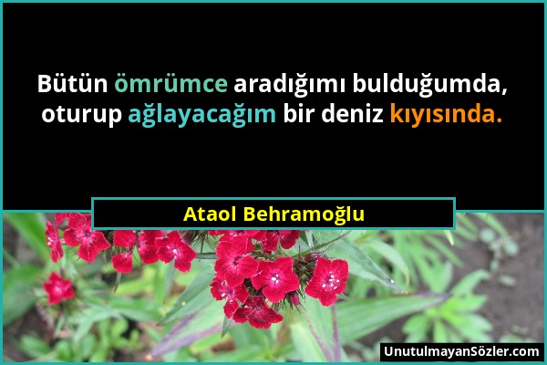 Ataol Behramoğlu - Bütün ömrümce aradığımı bulduğumda, oturup ağlayacağım bir deniz kıyısında....