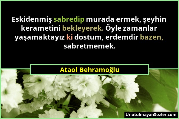 Ataol Behramoğlu - Eskidenmiş sabredip murada ermek, şeyhin kerametini bekleyerek. Öyle zamanlar yaşamaktayız ki dostum, erdemdir bazen, sabretmemek....