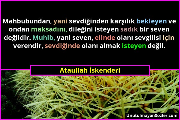 Ataullah İskenderi - Mahbubundan, yani sevdiğinden karşılık bekleyen ve ondan maksadını, dileğini isteyen sadık bir seven değildir. Muhib, yani seven,...