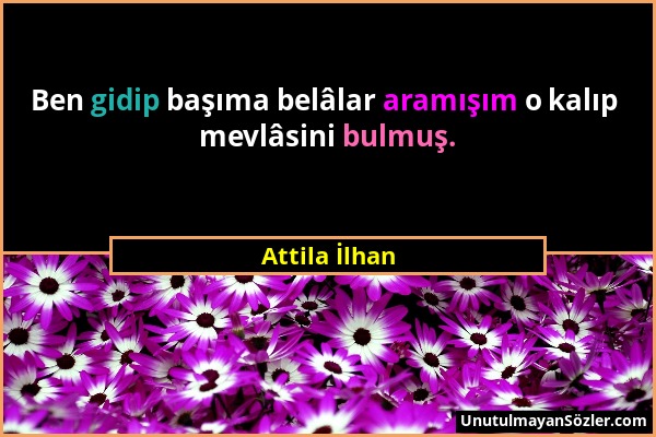 Attila İlhan - Ben gidip başıma belâlar aramışım o kalıp mevlâsini bulmuş....