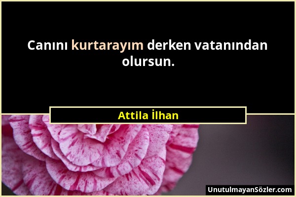 Attila İlhan - Canını kurtarayım derken vatanından olursun....