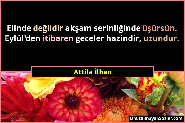 Attila İlhan - Elinde değildir akşam serinliğinde üşürsün. Eylül'den itibaren geceler hazindir, uzundur....