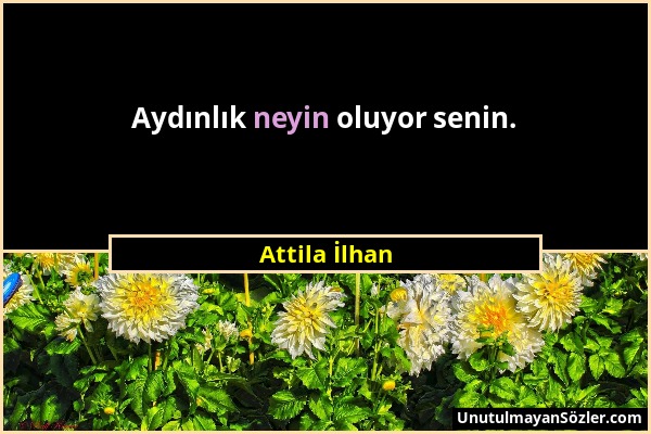 Attila İlhan - Aydınlık neyin oluyor senin....