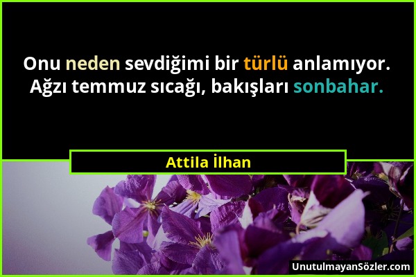 Attila İlhan - Onu neden sevdiğimi bir türlü anlamıyor. Ağzı temmuz sıcağı, bakışları sonbahar....