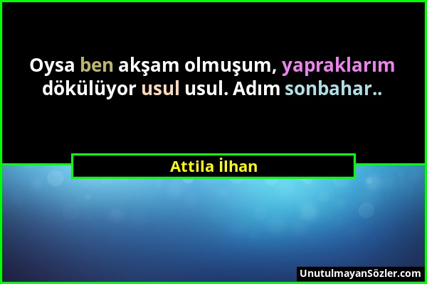 Attila İlhan - Oysa ben akşam olmuşum, yapraklarım dökülüyor usul usul. Adım sonbahar.....