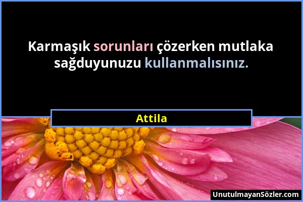 Attila - Karmaşık sorunları çözerken mutlaka sağduyunuzu kullanmalısınız....