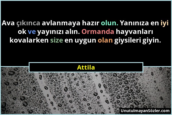 Attila - Ava çıkınca avlanmaya hazır olun. Yanınıza en iyi ok ve yayınızı alın. Ormanda hayvanları kovalarken size en uygun olan giysileri giyin....