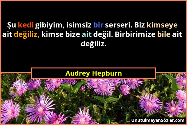 Audrey Hepburn - Şu kedi gibiyim, isimsiz bir serseri. Biz kimseye ait değiliz, kimse bize ait değil. Birbirimize bile ait değiliz....