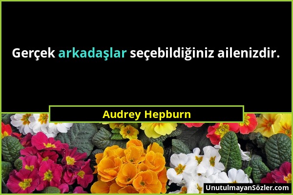 Audrey Hepburn - Gerçek arkadaşlar seçebildiğiniz ailenizdir....