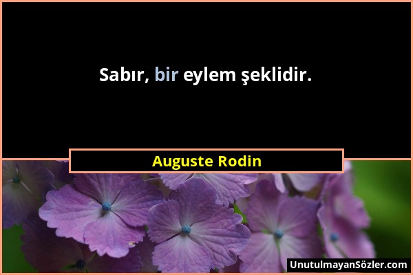 Auguste Rodin - Sabır, bir eylem şeklidir....