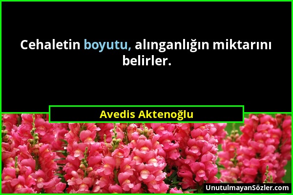 Avedis Aktenoğlu - Cehaletin boyutu, alınganlığın miktarını belirler....