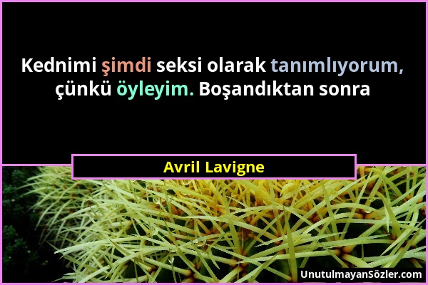 Avril Lavigne - Kednimi şimdi seksi olarak tanımlıyorum, çünkü öyleyim. Boşandıktan sonra...