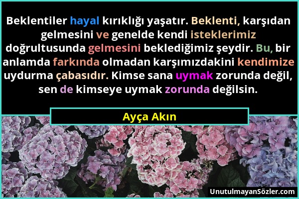 Ayça Akın - Beklentiler hayal kırıklığı yaşatır. Beklenti, karşıdan gelmesini ve genelde kendi isteklerimiz doğrultusunda gelmesini beklediğimiz şeydi...