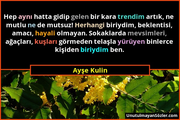 Ayşe Kulin - Hep aynı hatta gidip gelen bir kara trendim artık, ne mutlu ne de mutsuz! Herhangi biriydim, beklentisi, amacı, hayali olmayan. Sokaklard...