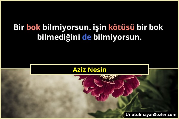 Aziz Nesin - Bir bok bilmiyorsun. işin kötüsü bir bok bilmediğini de bilmiyorsun....